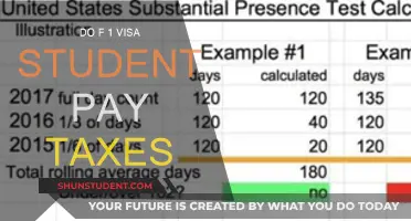 F1 Visa Students and Taxes: Do They Pay?