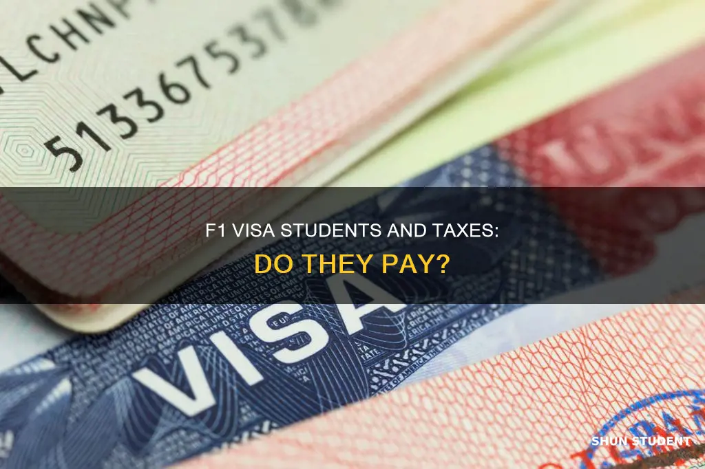 do f 1 visa students pay taxes