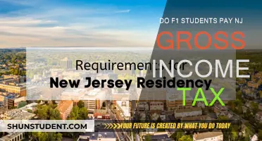 F1 Students and New Jersey Gross Income Tax: Who Pays?