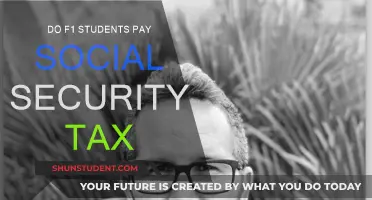 F1 Students and Social Security: Who Pays?