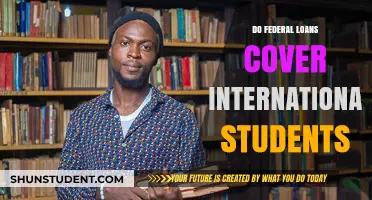 Federal Loans: Can International Students Apply?