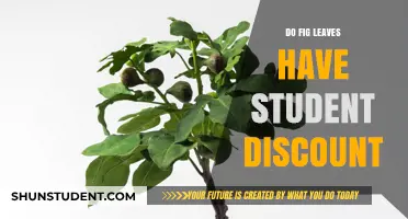 Fig Leaves Student Discount: Savings for Scholars or Myth?