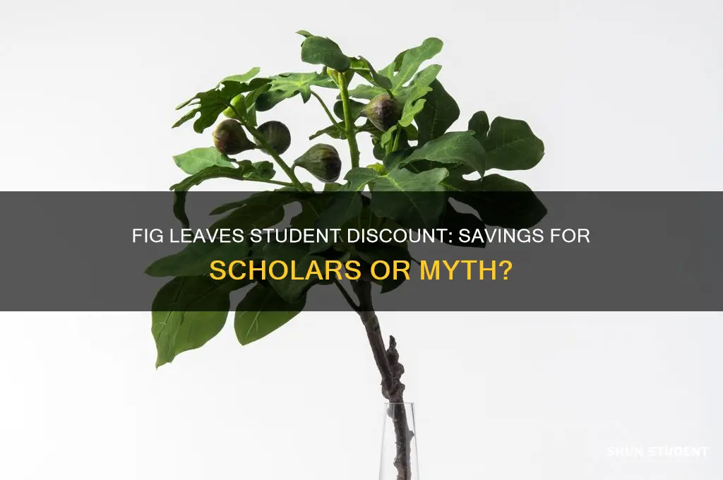 do fig leaves have student discount