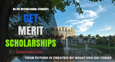 International Students: Are FUI Merit Scholarships Available?