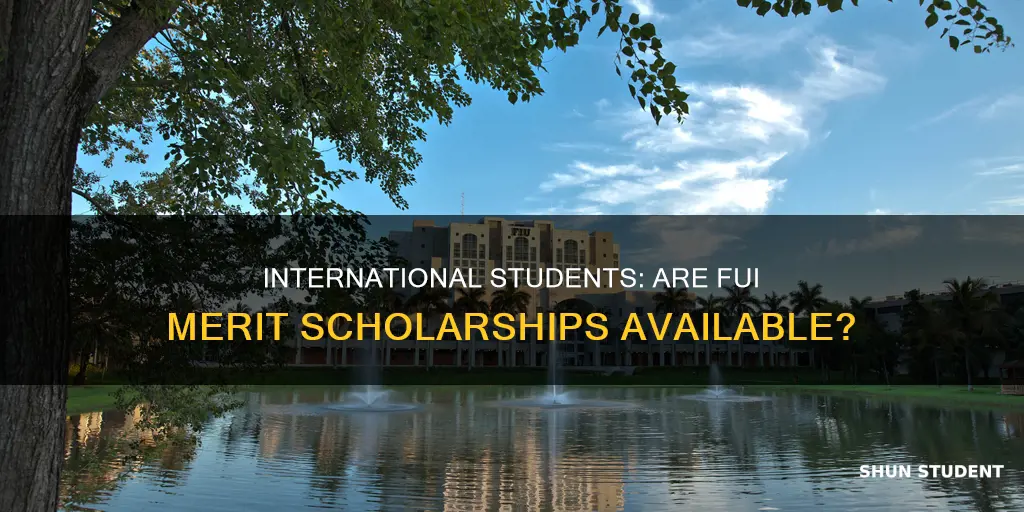 do fiu international students get merit scholarships