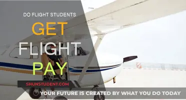 Flight Students: Are You Eligible for Flight Pay?