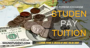 Foreign Exchange Students: Who Pays Tuition Fees?