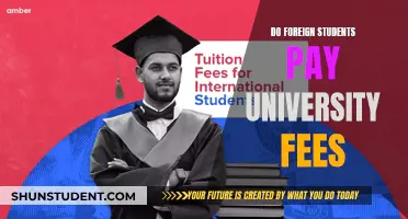 Foreign Students: University Fees and Payment Structures