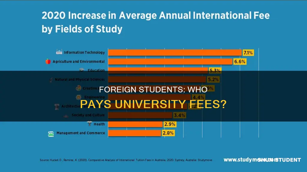 do foreign students pay university fees