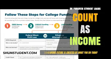 Forgiven Student Loans and Taxes: Do They Count as Income?