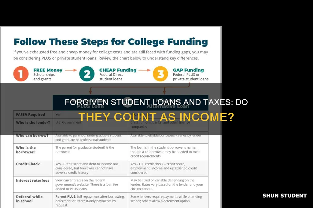 do forgiven student loans count as income