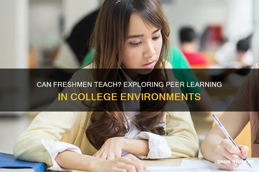 do freshman in college student teach