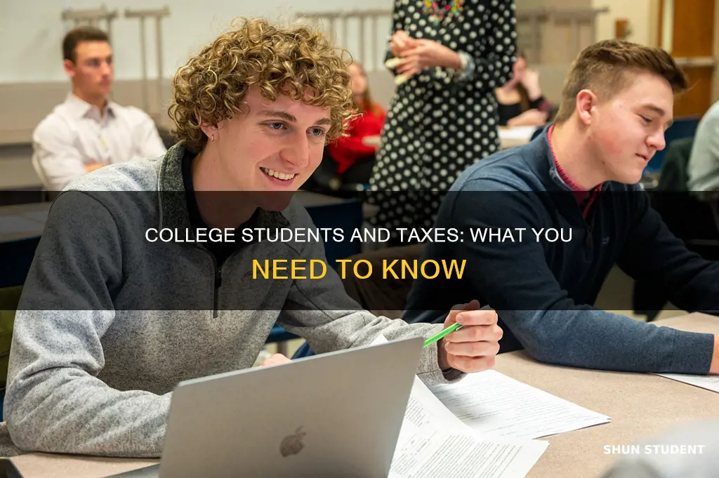 do full time college students have to pay taxes