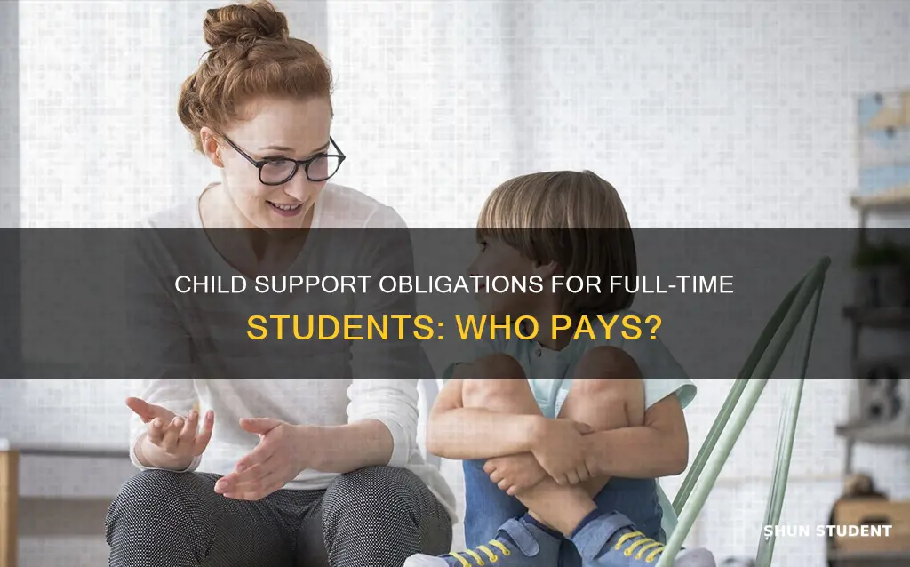 do full time students pay child support