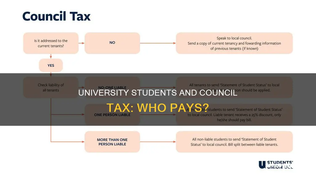 do full time university students have to pay council tax