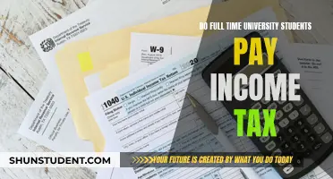 University Students and Income Tax: Who Pays?