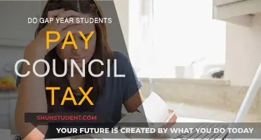 Gap Year Students: Council Tax Exemptions and Reductions