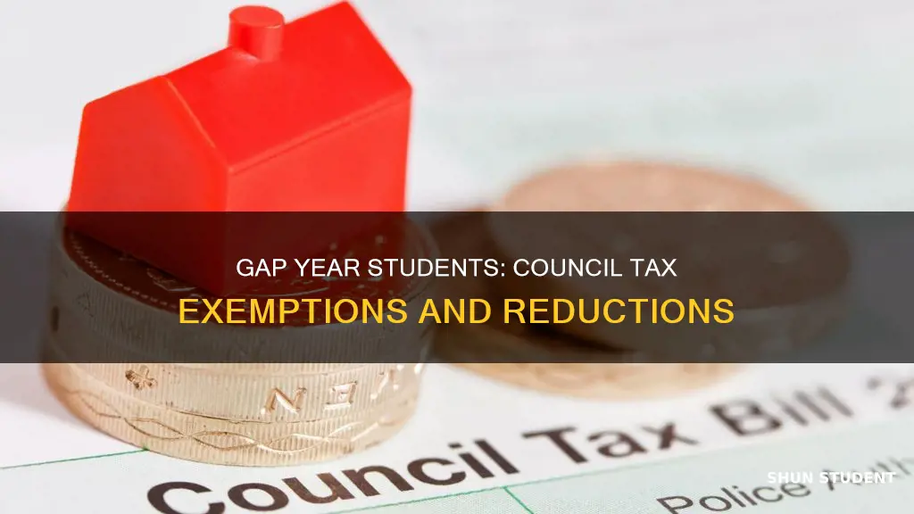 do gap year students pay council tax