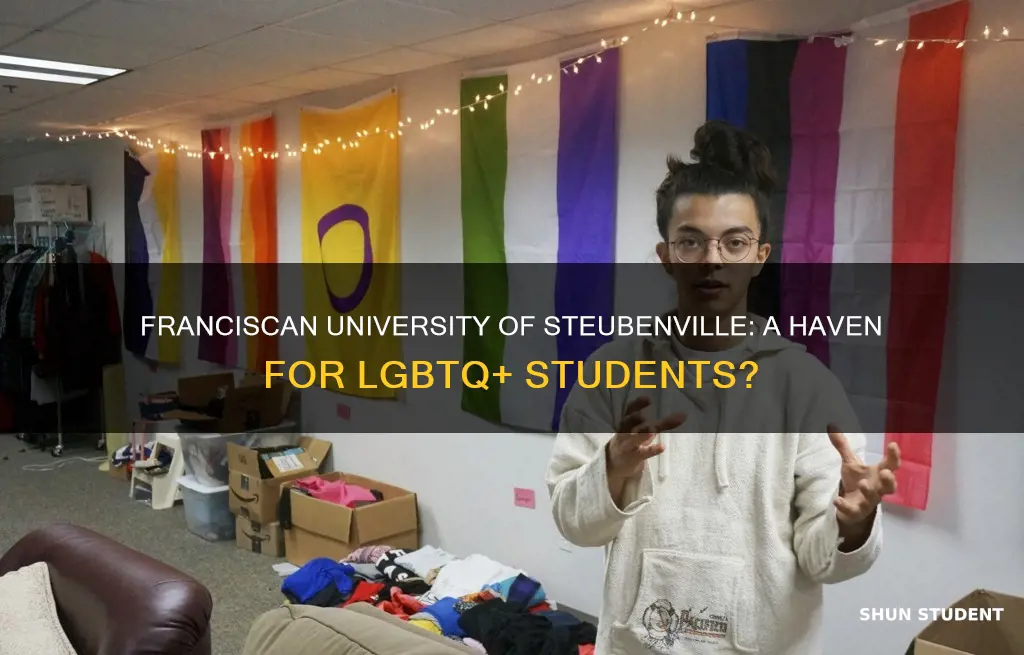 do gay students go to franciscan university of steubenville