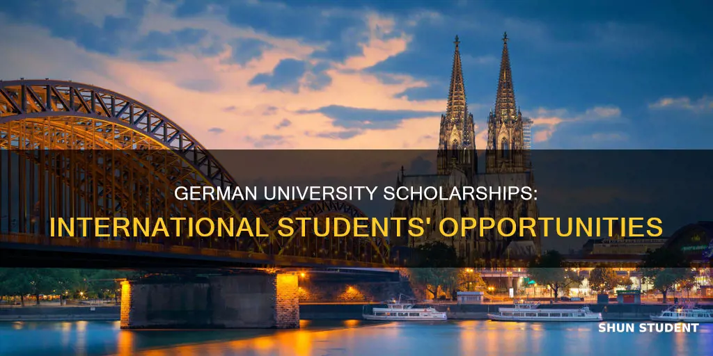 do german universities give scholarships to international students