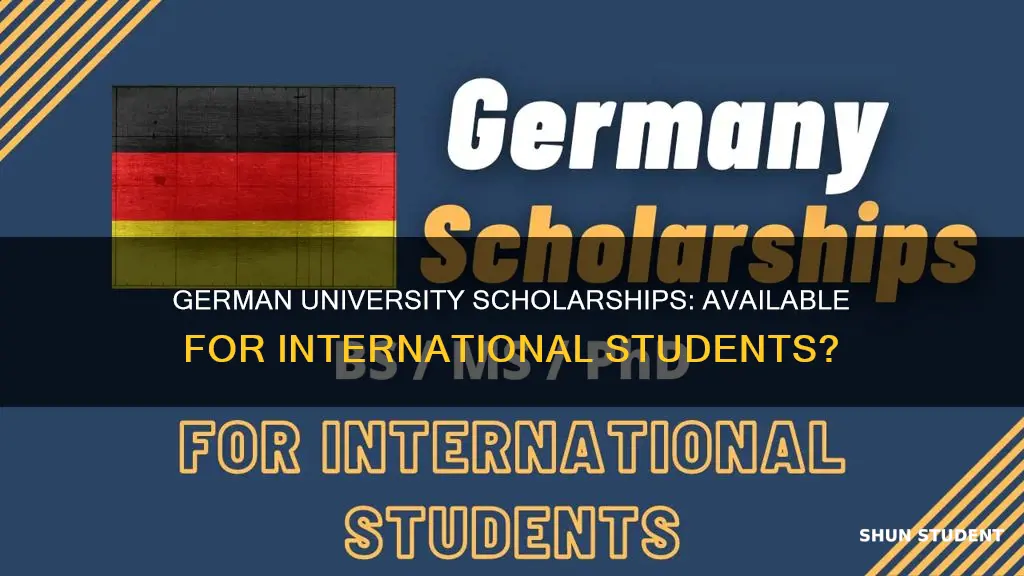 do german universities give scholarships to international students