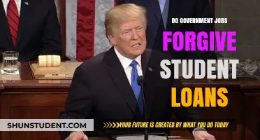 Can Government Jobs Erase Your Student Debt? Exploring Loan Forgiveness