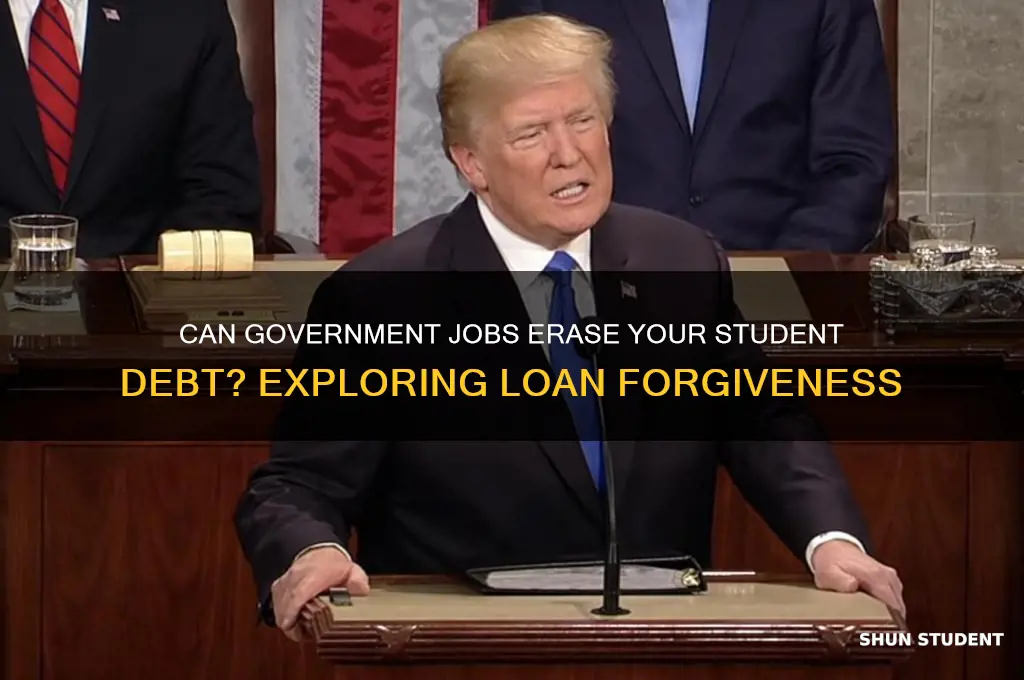do government jobs forgive student loans