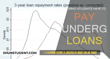 Grad Students: Do Your Undergrad Loans Still Apply?