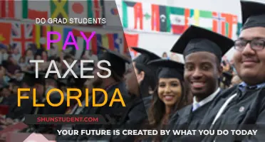 Grad Students and Florida Taxes: What You Need to Know