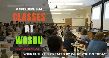 Do Grad Students Teach at WashU? Exploring Roles and Responsibilities