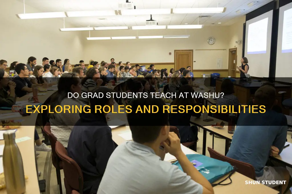 do grad students teach classes at washu