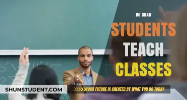 Do Grad Students Teach Classes? Unveiling Academic Responsibilities