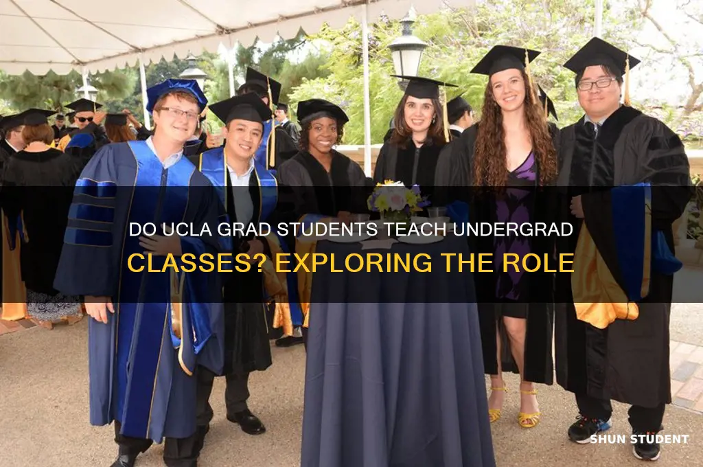 do grad students teach undergrad classes ucla