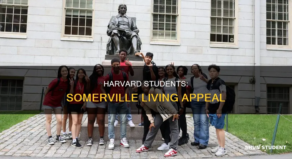 do harvard university students live in somerville