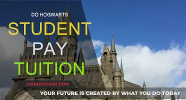 Hogwarts Tuition: Who Pays for the Magic?