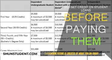 Student Loans: Credit Before Repayment?