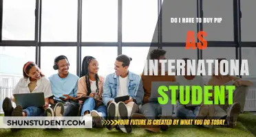 International Students: Do You Need to Buy PIP Coverage?