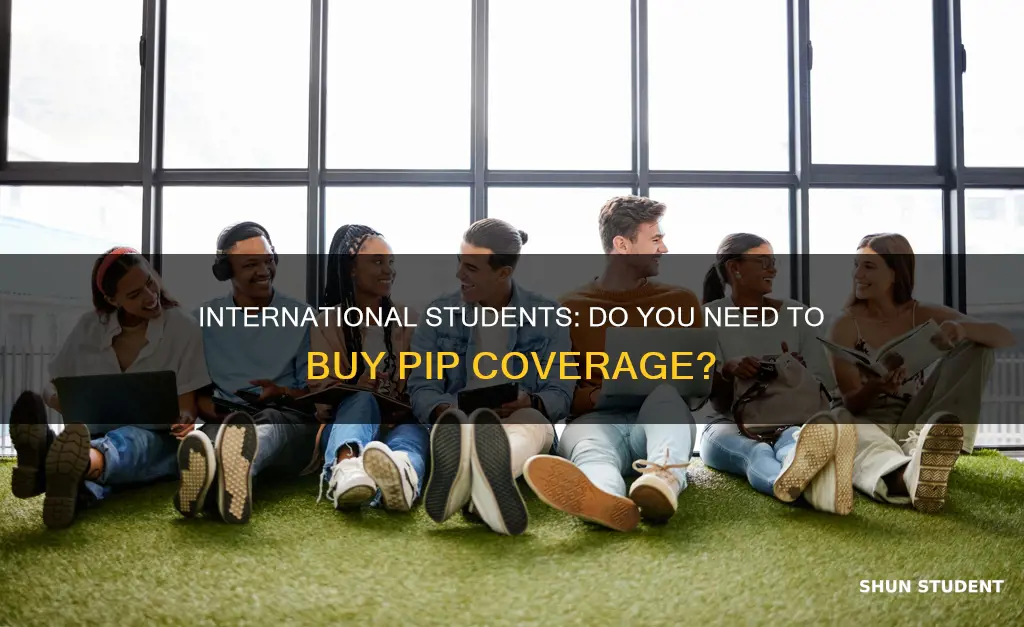 do i have to buy pip as international student