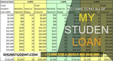 Student Loan Strategies: Repay Less, Save More