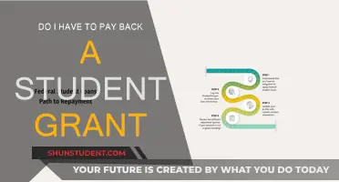 Student Grants: Do They Need to Be Repaid?