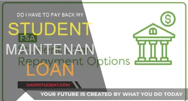 Understanding Student Maintenance Loan Repayments: Do They Need to Be Returned?