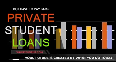 Understanding Private Student Loans and Repayment Obligations