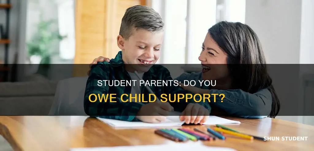 do i have to pay csa if im a student