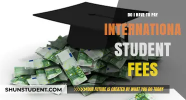 Navigating International Student Fees: Who Pays and Why?