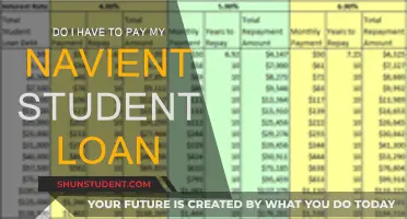 Student Loan Payment: Navient and Your Options