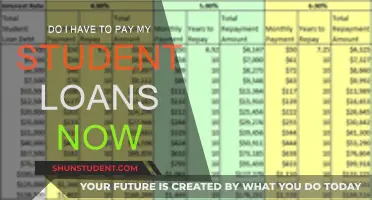 Student Loan Repayments: What's the Deal Now?