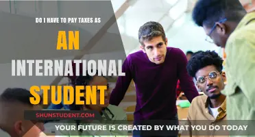 International Students and Taxes: What You Need to Know