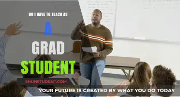 Teaching as a Grad Student: Expectations, Challenges, and Opportunities