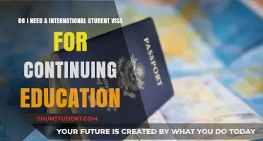 International Student Visa: Continuing Education Requirements