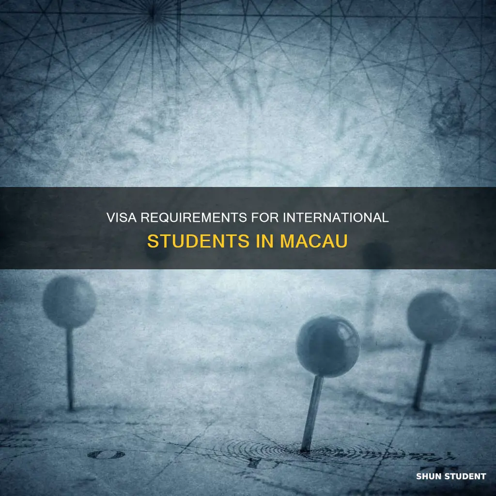 do i need a visa for macc for international students